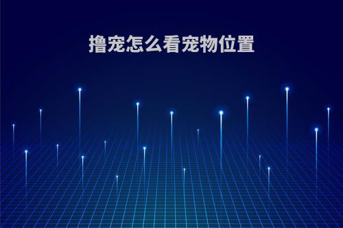 撸宠怎么看宠物位置