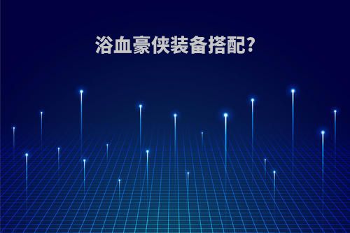 浴血豪侠装备搭配?