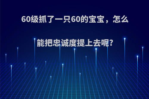 60级抓了一只60的宝宝，怎么能把忠诚度提上去呢?