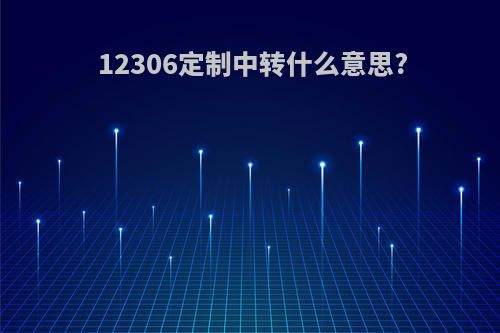 12306定制中转什么意思?