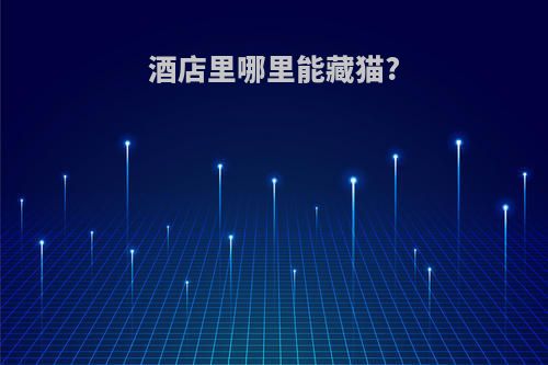 酒店里哪里能藏猫?
