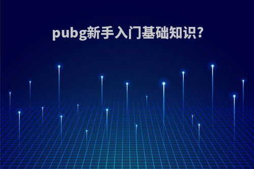 pubg新手入门基础知识?
