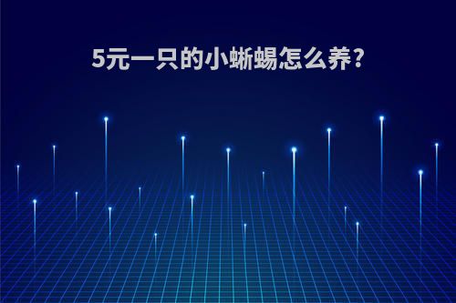 5元一只的小蜥蜴怎么养?(小蜥蜴怎么养活)