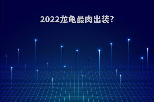 2022龙龟最肉出装?