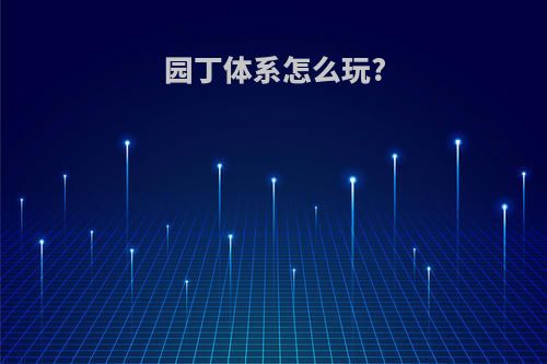 园丁体系怎么玩?