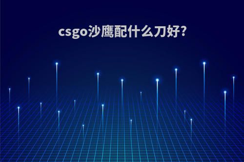 csgo沙鹰配什么刀好?